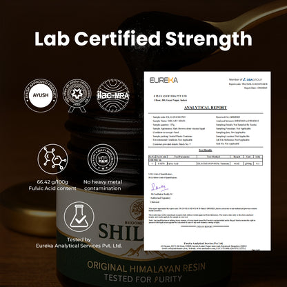 Swarnasoot Shilajit